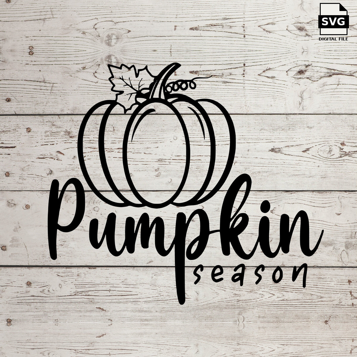 Pumpkin season. SVG digital download preview.