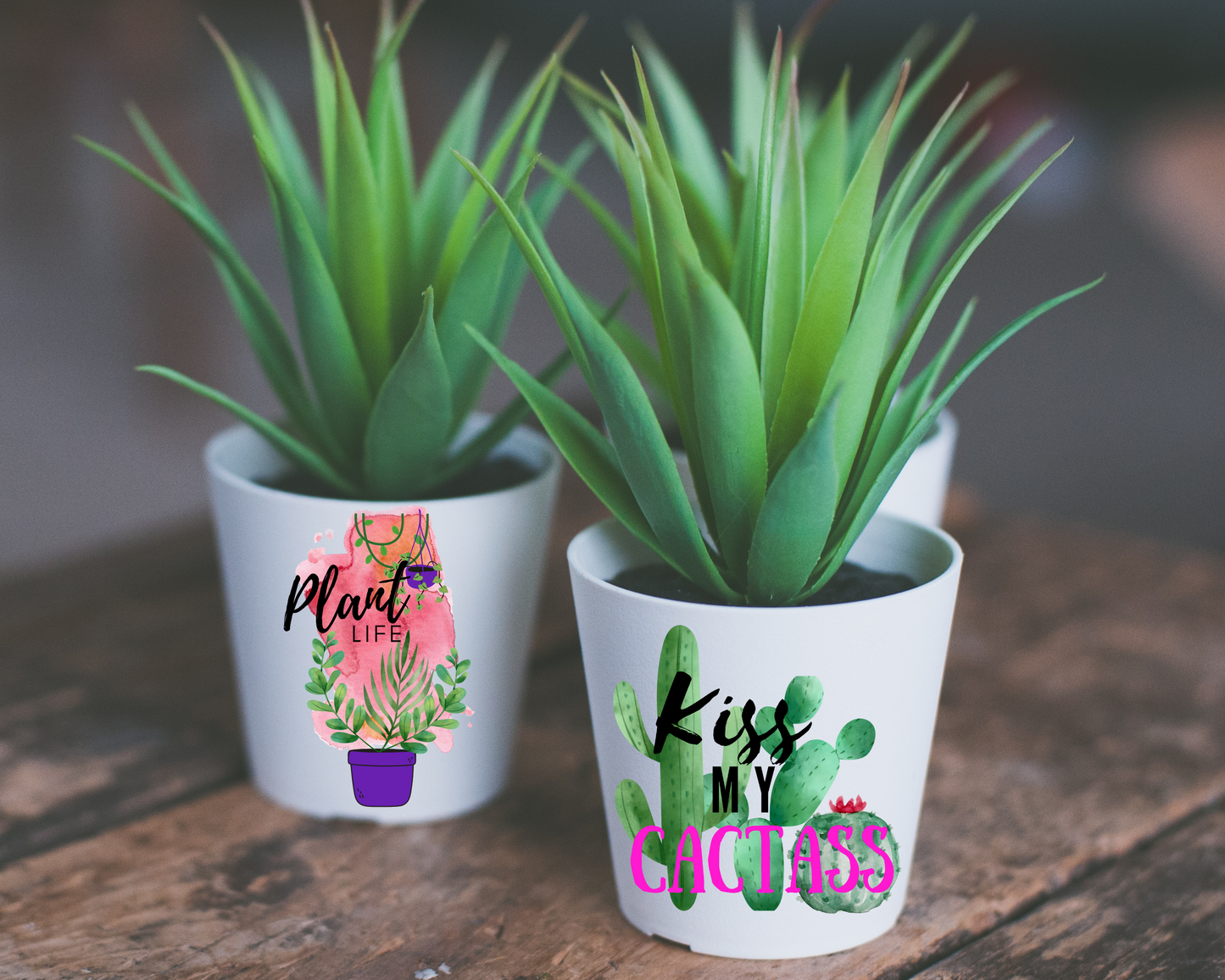 Plant PNG File