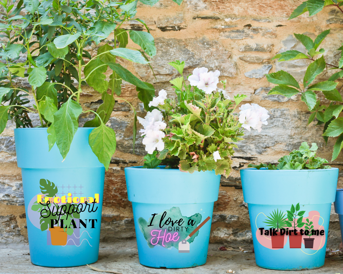 Plant PNG File