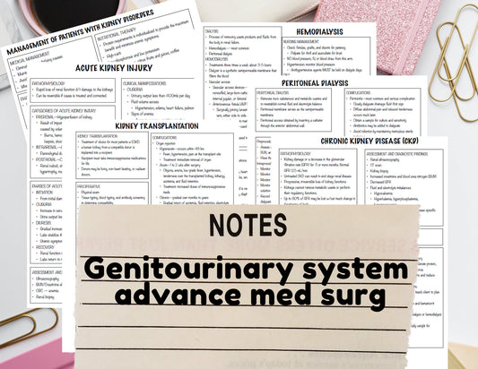 Genitourinary system - Nursing Notes Digital