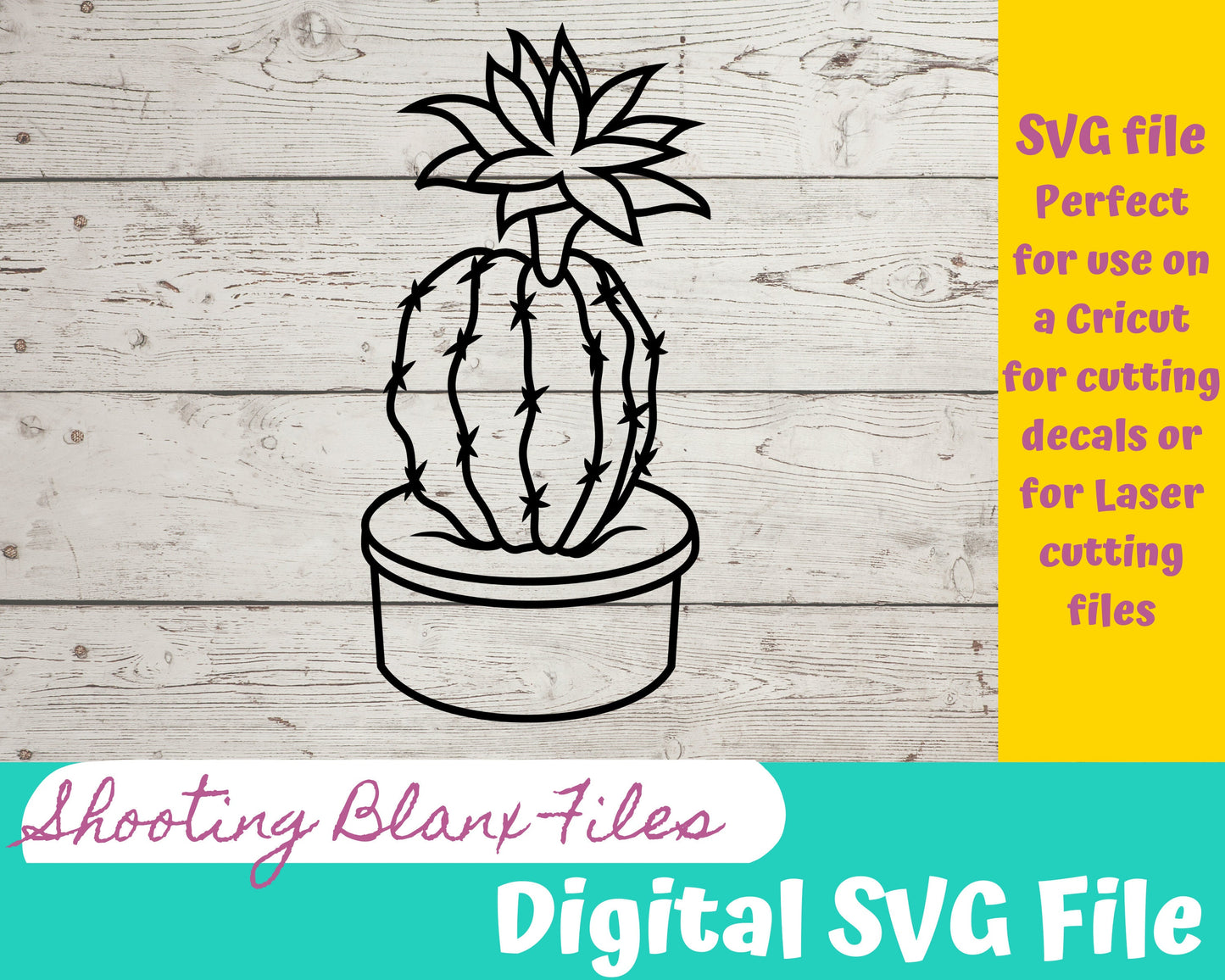 Plant bundle SVG files perfect for Cricut, Cameo, or Silhouette also for laser engraving Glowforge, cactus, house plants