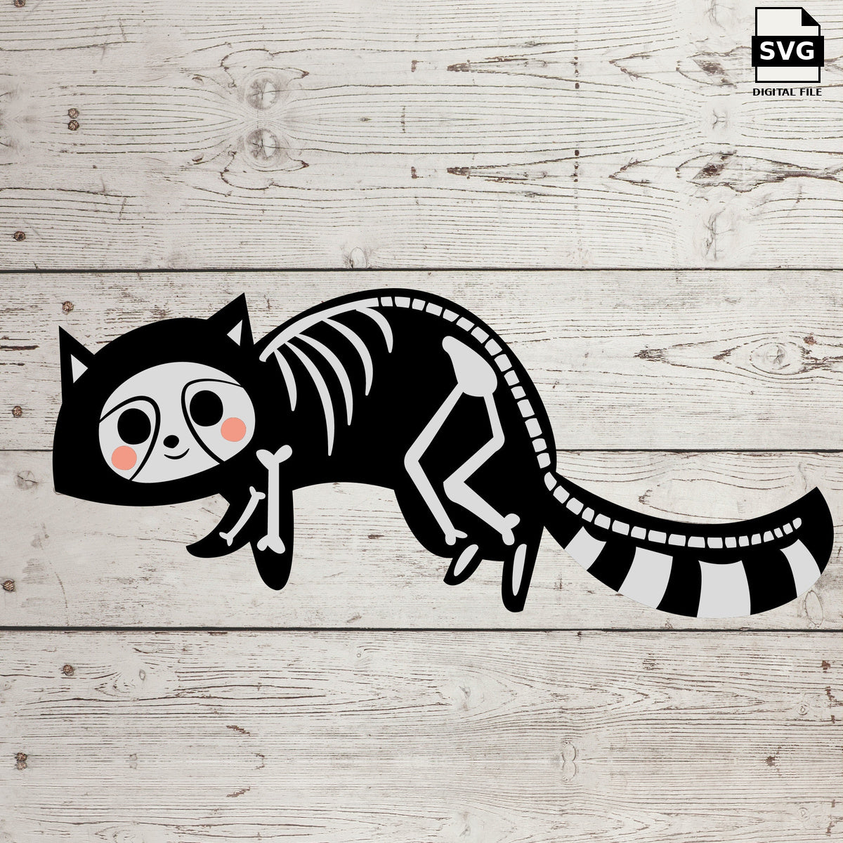 Raccoon skeleton. SVG digital download preview.
