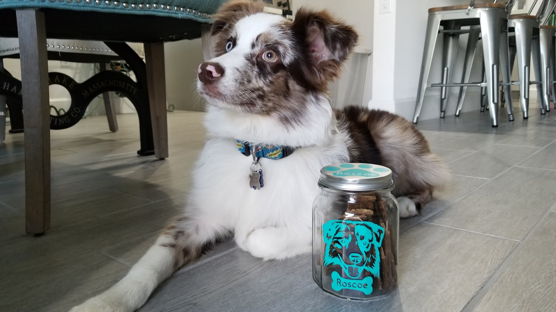 Personalized Dog Jar, Custom Dog Treat container, Dog Treat Jar, Dog Christmas, Cookie Jar - CCCreationz
