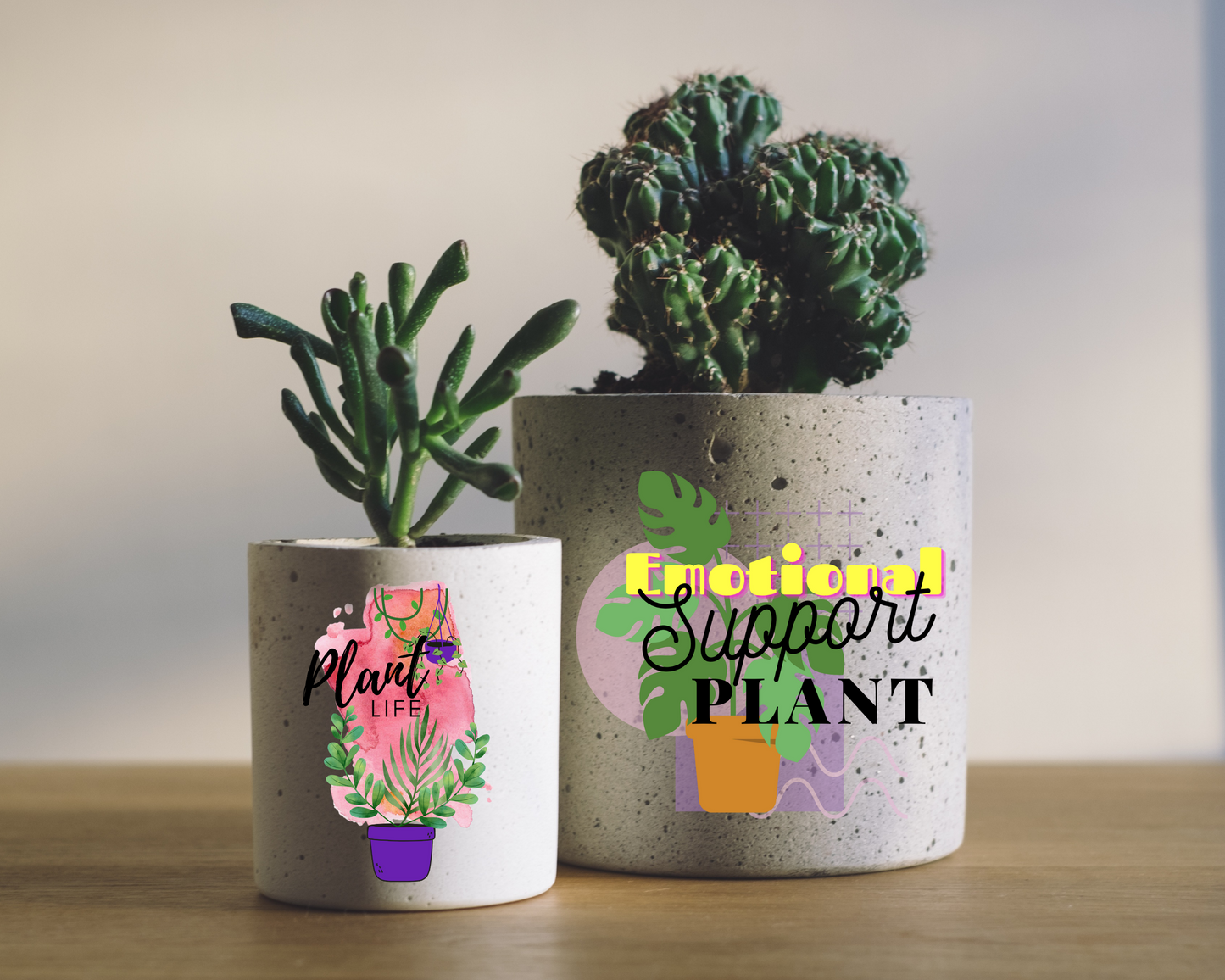 Plant PNG File