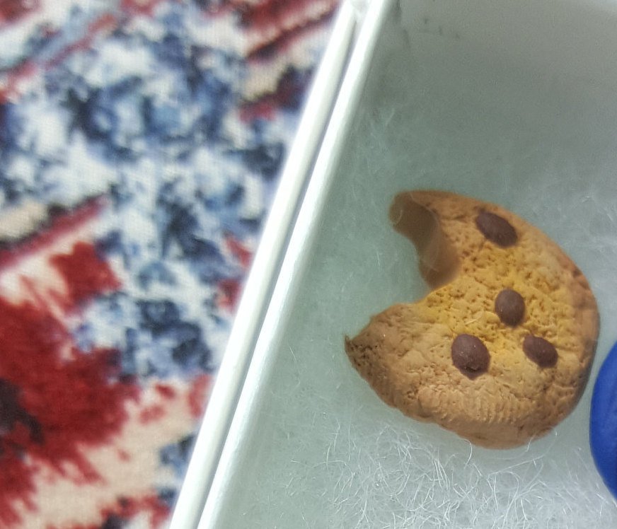 Cookie Monster earrings, Clay earrings, Cookie earrings, Disney Earrings - CCCreationz