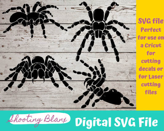 Spider Bundle SVG files perfect for Cricut, Cameo, or Silhouette also for laser engraving Glowforge, horror, spooky,