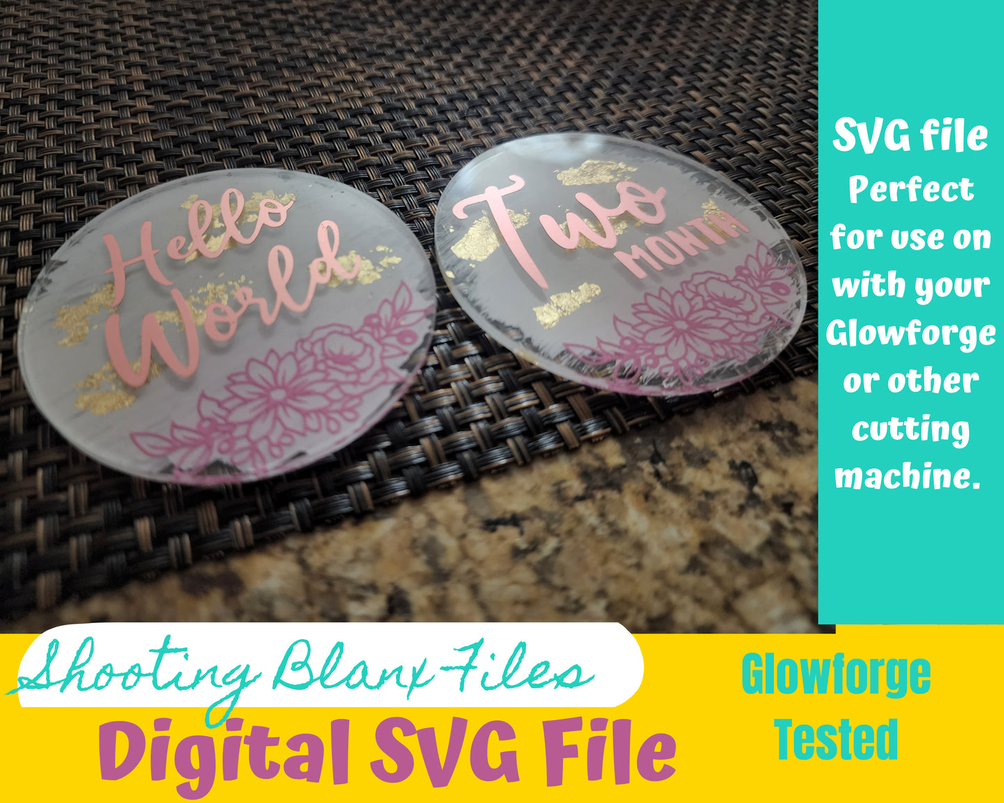 Monthly milestone svg, Milestone discs svg, floral svg, Baby Milestone SVG, Baby milestone rounds svg, baby announcement svg, sign svg